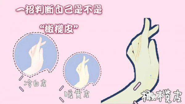 橄榄皮算是白皮还是黄皮