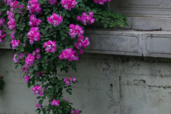 老公不爱你的表现特点