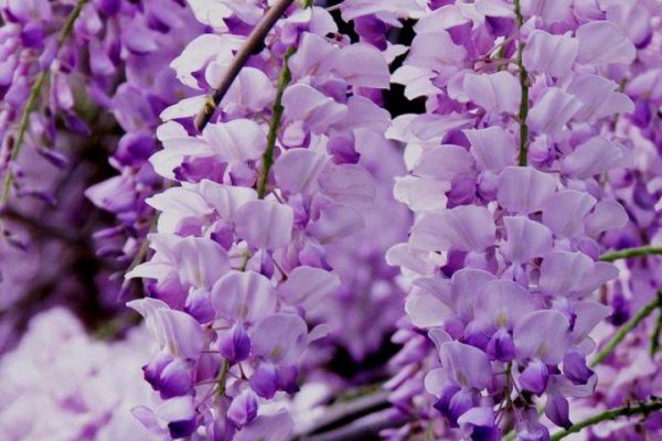 老公不爱你的表现特点