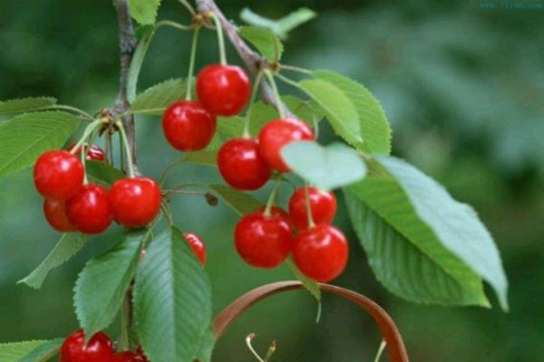 老公不爱你的表现特点