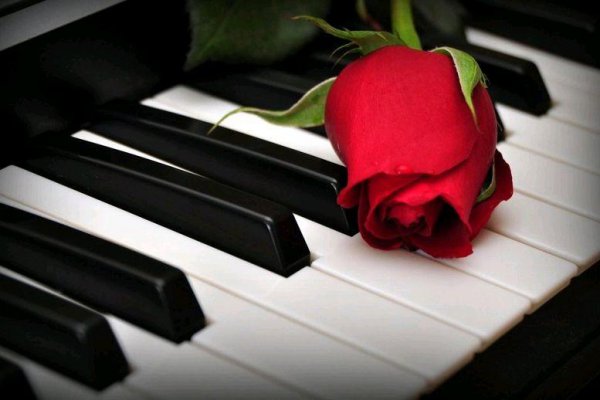 老公不爱你的表现特点