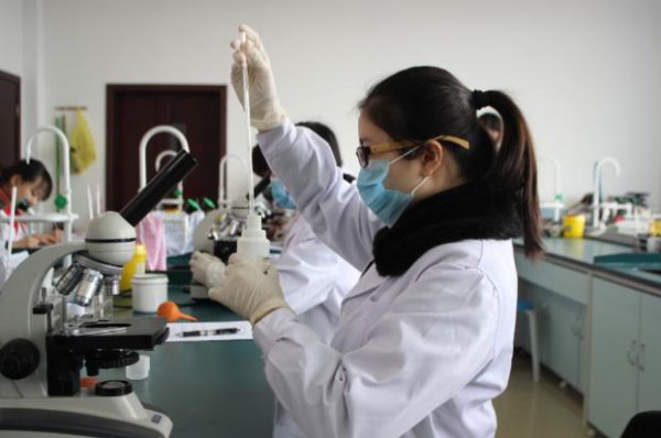 女生就业率最高的十大专业