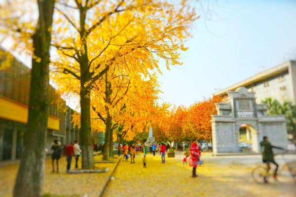 成都周边一日游的最佳地方在哪里