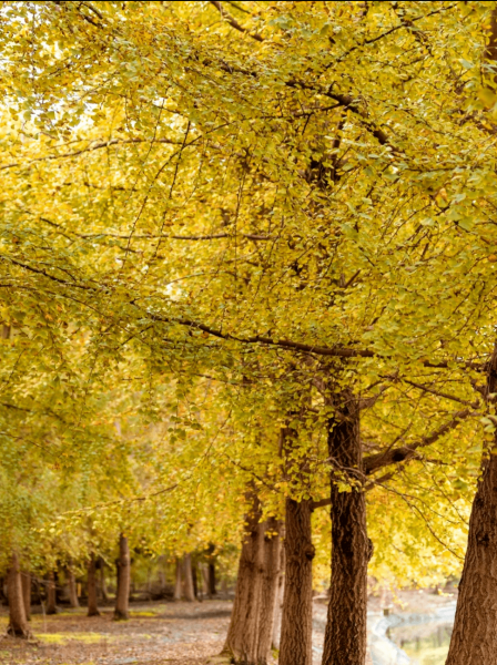 成都周边一日游的最佳地方在哪里