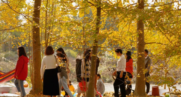成都周边一日游的最佳地方在哪里