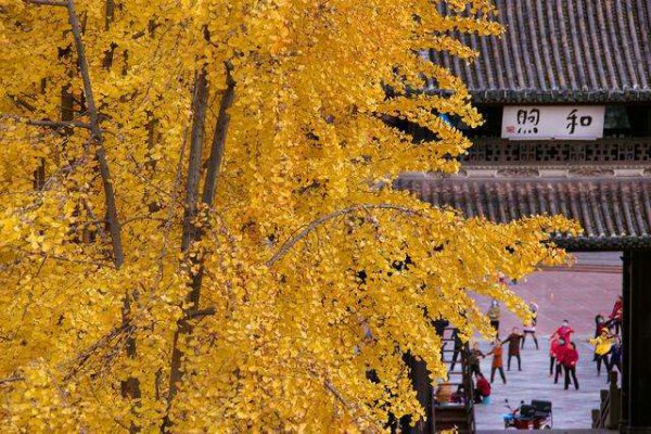 成都周边一日游的最佳地方在哪里