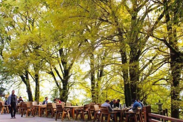 成都周边一日游的最佳地方在哪里