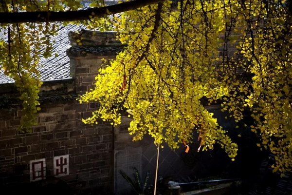 成都周边一日游的最佳地方在哪里
