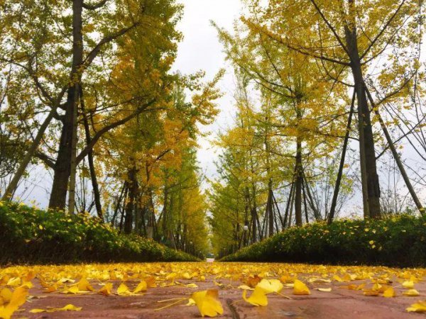 成都周边一日游的最佳地方在哪里