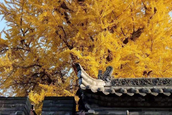 成都周边一日游的最佳地方在哪里