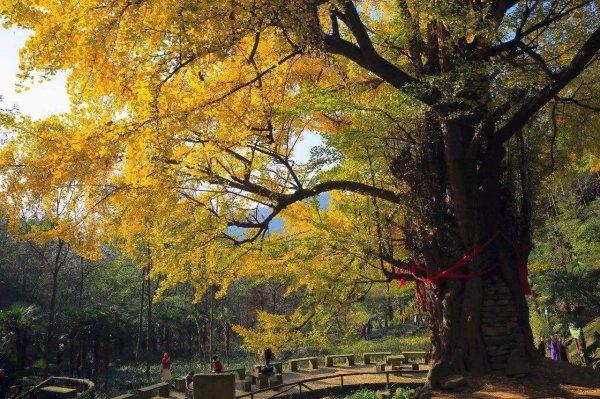 成都周边一日游的最佳地方在哪里