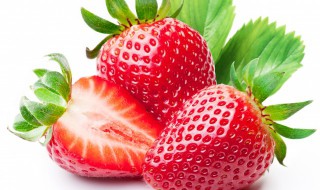 草莓的产地在哪里 草莓的产地是哪呢