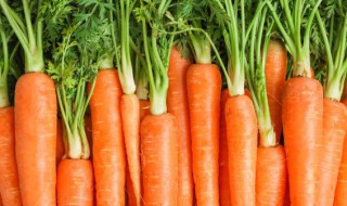 虾能不能和胡萝卜一起吃 虾和胡萝卜适合一起吃吗