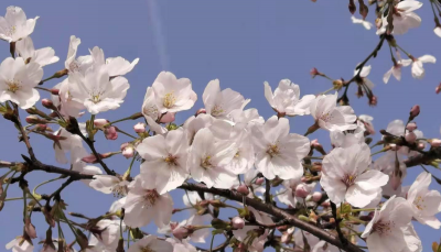 老公不爱说话不爱沟通怎么办 老公不交流的原因与解决方法