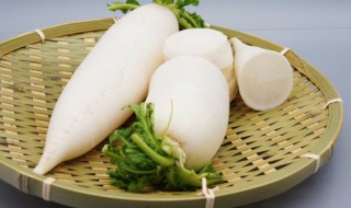 萝卜和香菇能一起吃吗 萝卜和香菇能不能一起食用