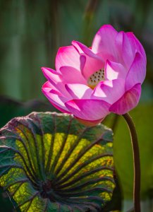 相机怎么设置拍照效果好 把这10个参数设置对拍摄杠杠滴