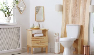 卫生间有什么好物件 卫生间放哪些物件好