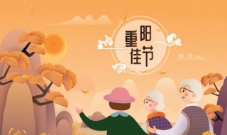 重阳节送什么花合适 重阳节送什么花好