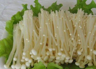 金针菇能放冰箱吗 金针菇冷藏存放时间