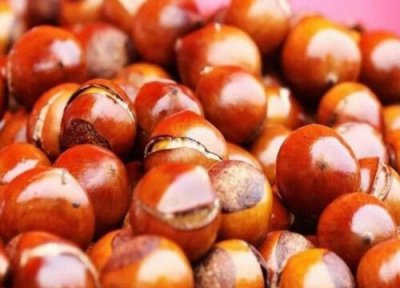 板栗吃生的好还是熟的好 告诉你正确生吃与熟吃法区别