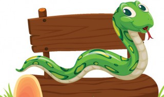 白天做梦梦到蛇是什么意思 白天做梦梦到蛇的含义