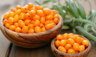 吃沙棘有什么好处 吃沙棘有什么功效