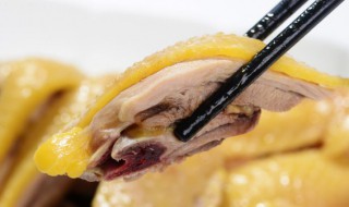 柴鸡汤怎么炖最有营养 柴鸡汤的做法