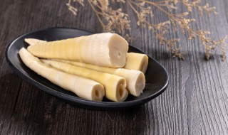 竹笋吃哪个部位 竹笋哪里可以吃