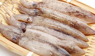 吃鱿鱼的禁忌 吃鱿鱼的注意事项