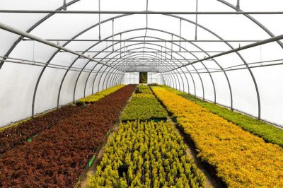 三农是哪三农啊 三农包括哪些内容怎么和其它领域区别