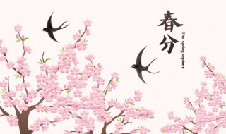 春分可以去寺庙吗 春分能去寺庙吗