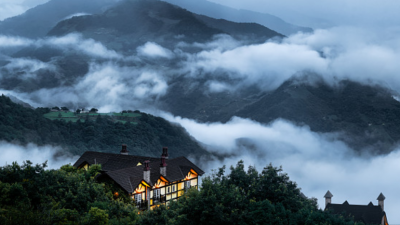 悟性高洞察力强的女生是什么样的 洞察能力强的星座女生