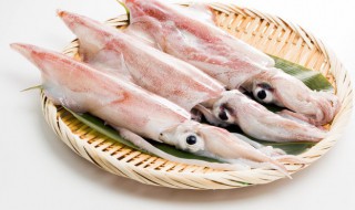 新鲜墨鱼怎么炖好吃又简单 炖墨鱼的烹饪方法