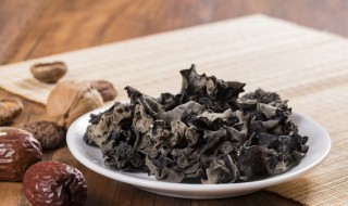 什么叫黑木耳 黑木耳资料