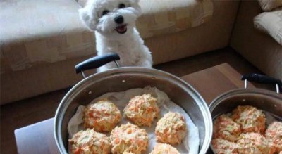 狗粮的制作方法及配料 教你如何在家自制营养狗粮窍门