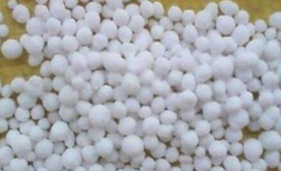 氮磷钾肥哪种肥料抗病虫害 氮磷钾肥料可以消灭虫害吗