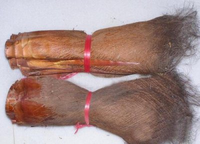 棕树皮怎么剥 棕树皮怎么剥 剥棕方法