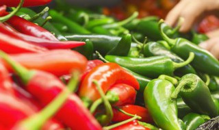 高山地方适合种植什么辣椒 高山地方适合种植哪种辣椒