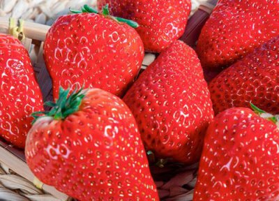 草莓的外貌特点描写 详细描述草莓的外形特征句子