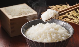 不吃米饭可以吗 不吃米饭可以减肥吗