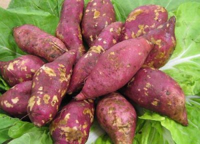 生红薯可以冷冻储存吗 新鲜红薯能放冰箱冷冻保存吗