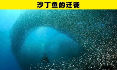 大自然有哪些神奇的自然现象 世界上10种奇妙的自然现象