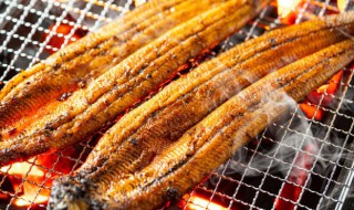 做烤鱼用什么鱼好 做烤鱼用哪种鱼好