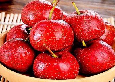 山楂是水果吗 是什么性质的水果