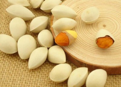 白果采摘时间 白果什么时候采摘