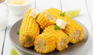 霉变玉米有什么用途 霉变玉米有哪些用途