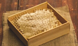 蜂胶有什么功效 蜂胶功效有什么