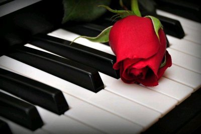 老公不爱你的表现特点 怎样才能看出老公不爱你了