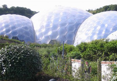 自然生态系统有哪些 地球上包含哪些主要生态系统类型