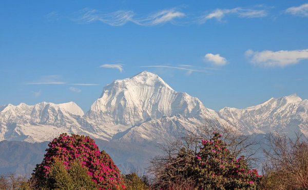世界十大高峰排名及高度